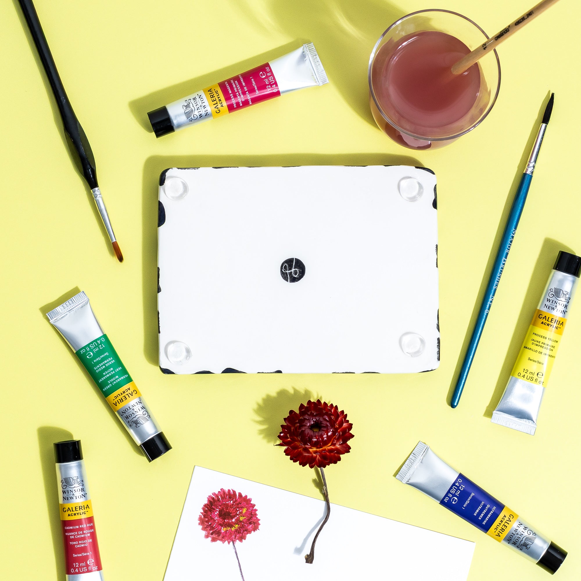 Dotty Palette